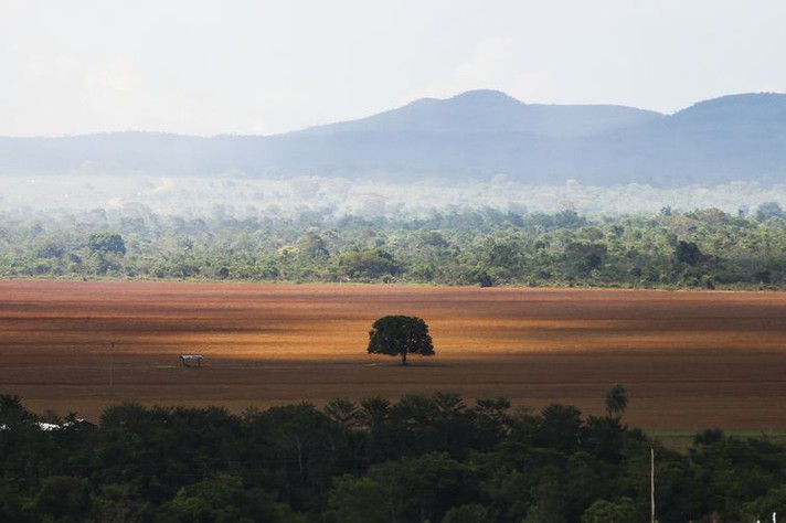 Relação entre desmatamento e produção agrícola no Cerrado é um dos temas de tese da UFMG premiada