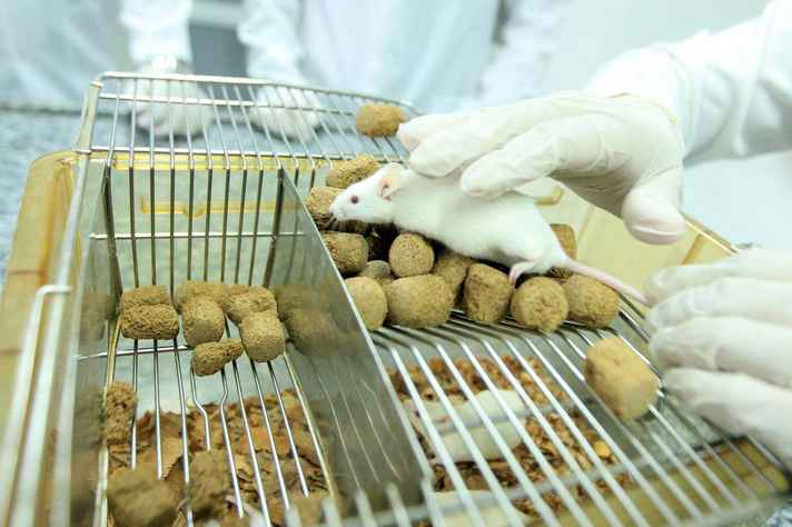 O governador de Minas Gerais, Fernando Pimentel, vetou integralmente a legislação que proibiria os testes com animais para produzir cosméticos no Estado