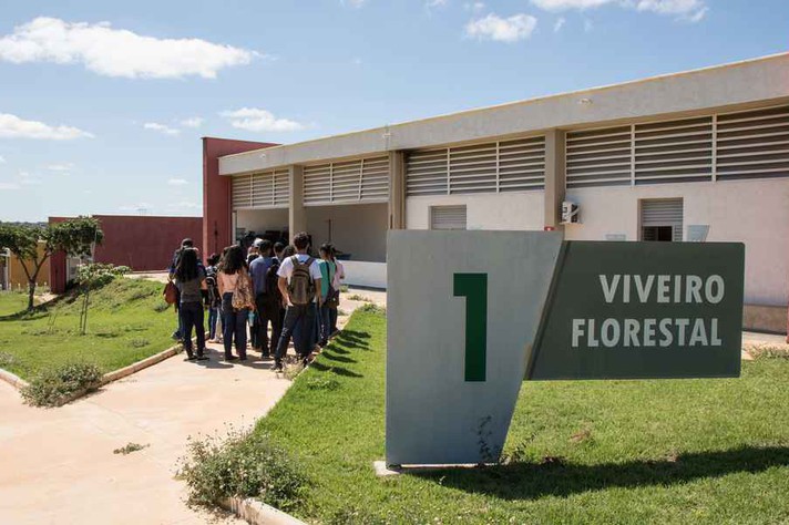 Viveiro Florestal no campus Montes Claros: novo bloqueio pode comprometer funcionamento da UFMG