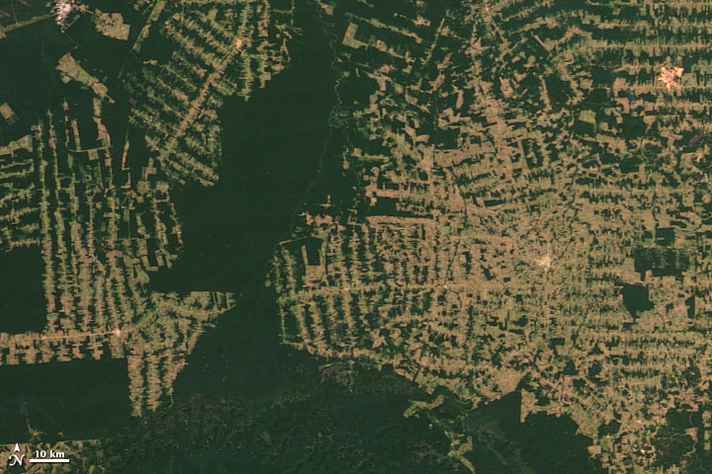 Imagem de satélite de área desmatada na Amazônia