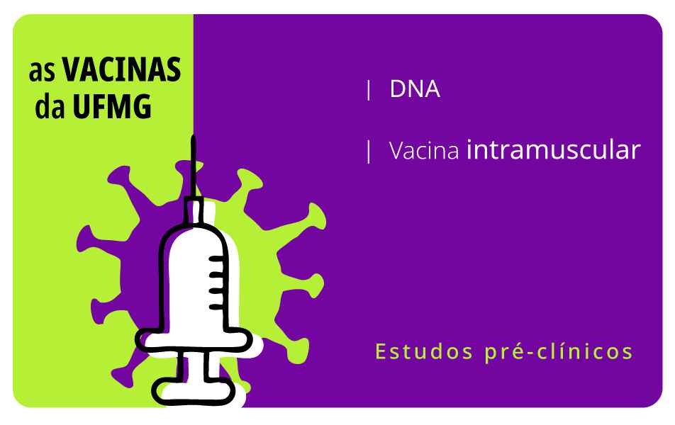 <p>Também em estudo no CT- Vacinas, imunizante usa antígenos do coronavírus para induzir resposta imunológica</p>