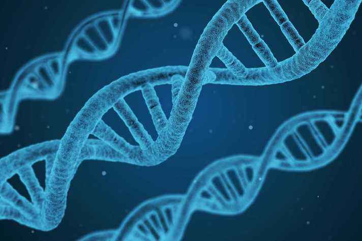 Estrutura da molécula de DNA, cuja descoberta completa 65 anos