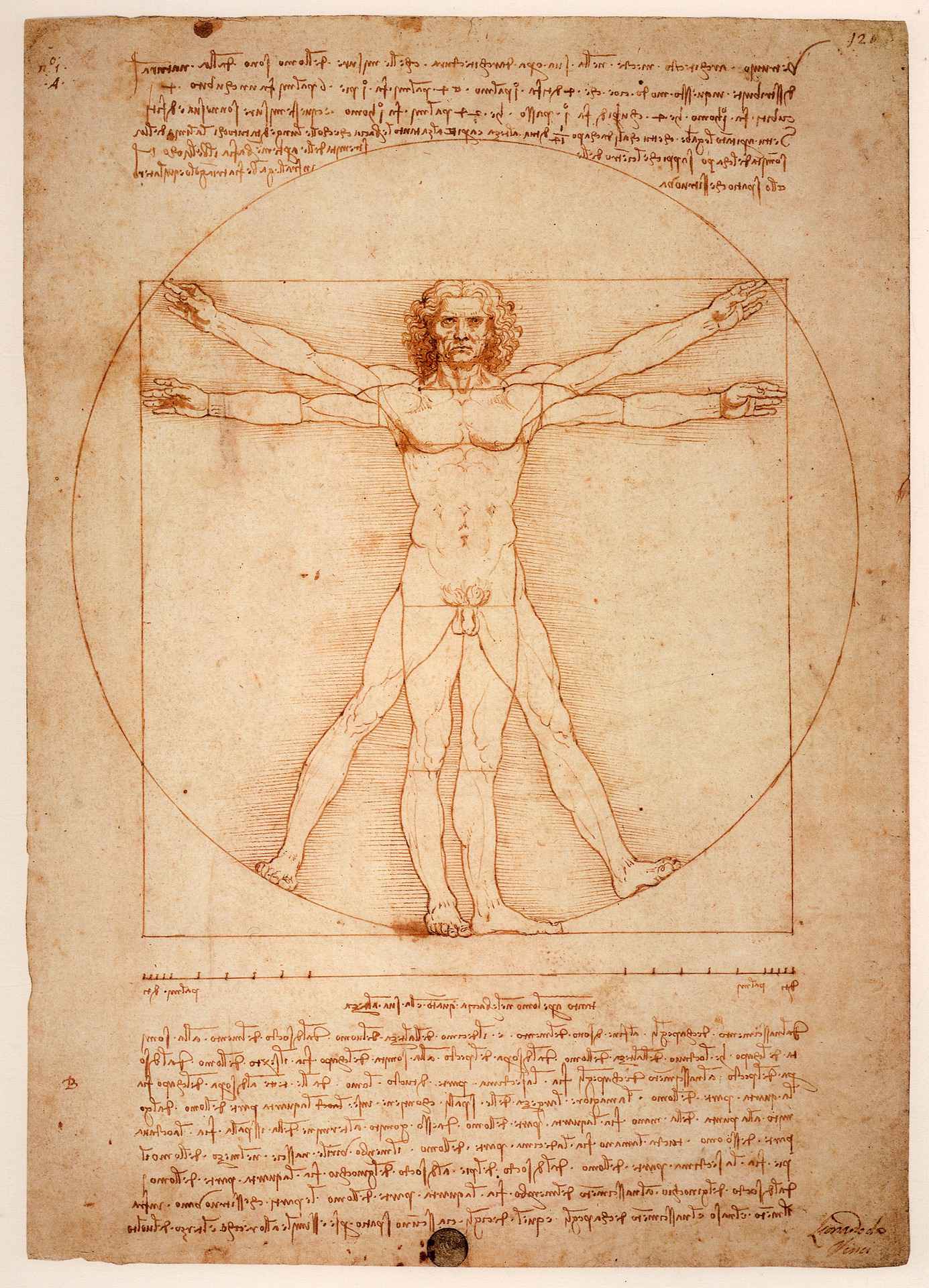 Homem Vitruviano de Leonardo da Vinci 1490