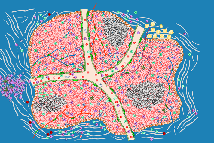 Ilustração esquemática mostra a complexidade do microambiente tumoral que, além das células nervosas, possui vasos sanguíneos, nervos e células a eles associadas