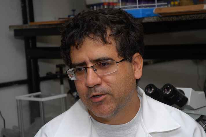 Mauro Martins Teixeira, do ICB, é um dos mais reconhecidos pesquisadores brasileiros