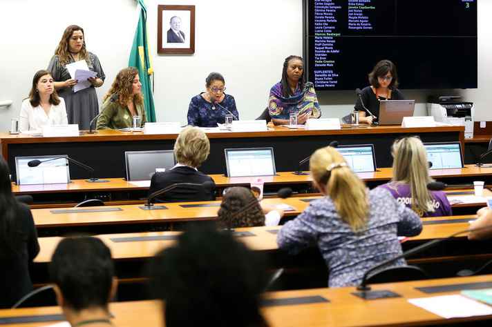 Registro da Comissão de Defesa dos Direitos da Mulher na Câmara dos Deputados