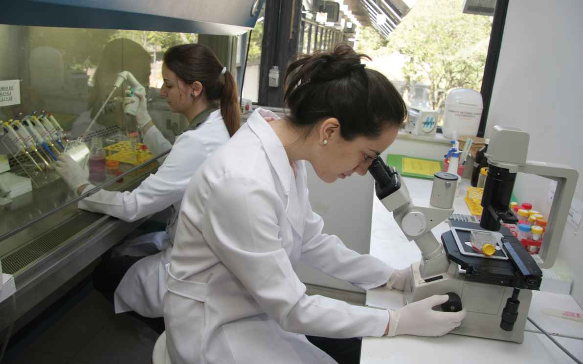 Pesquisadoras em laboratório da UFMG: participação feminina na ciência