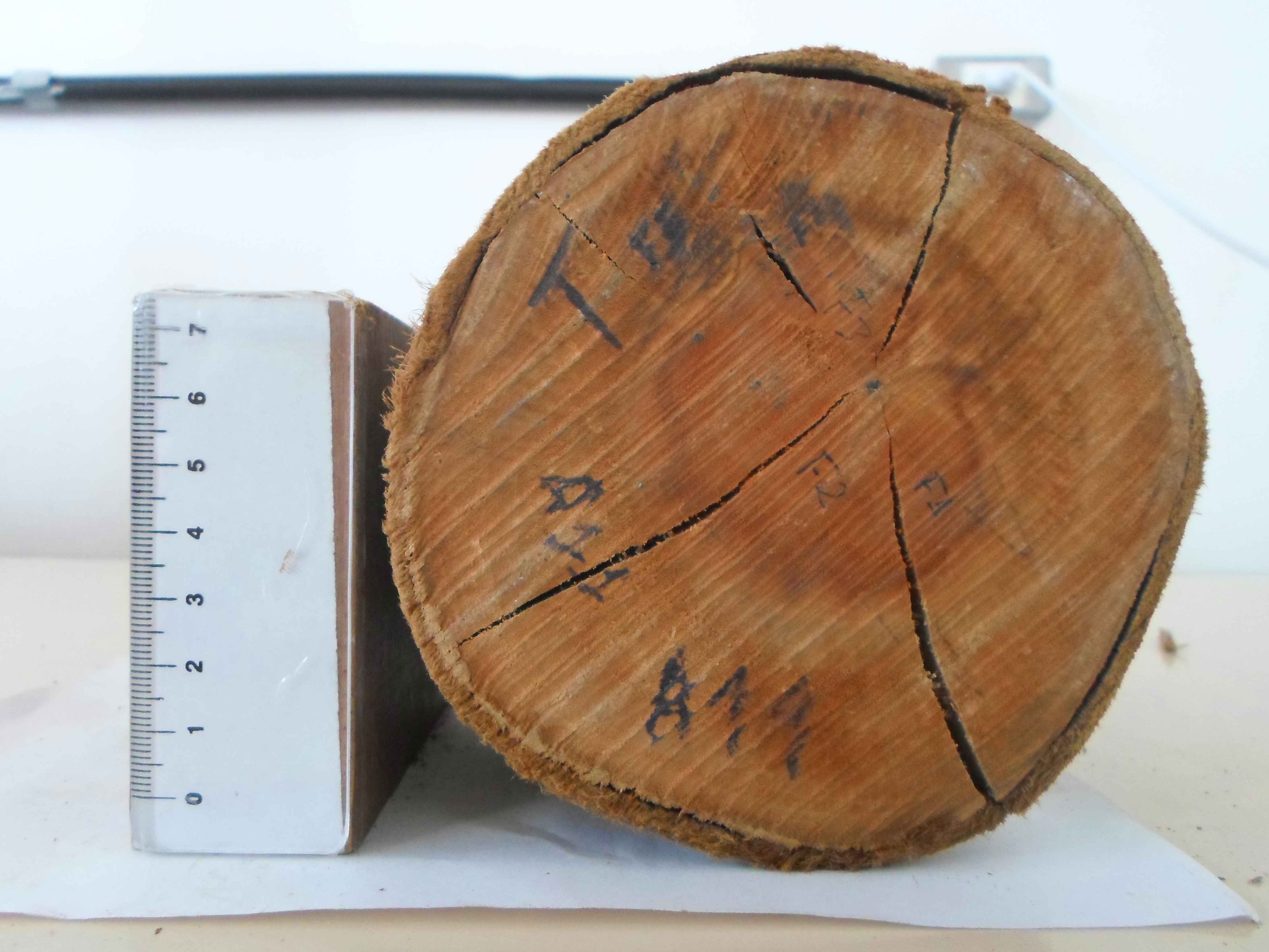 Peça de madeira com rachadura analisada na pesquisa do ICA