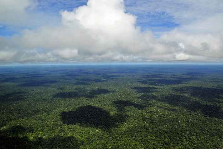 Fotografia aérea de parte da Amazônia brasileira