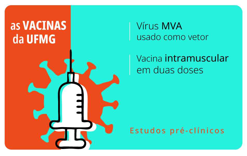 <p>Imunizante desenvolvido no CT-Vacinas usa o vírus da varíola como vetor</p>
