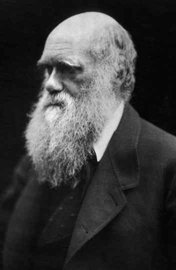 Retrato de Charles Darwin feito em 1868.