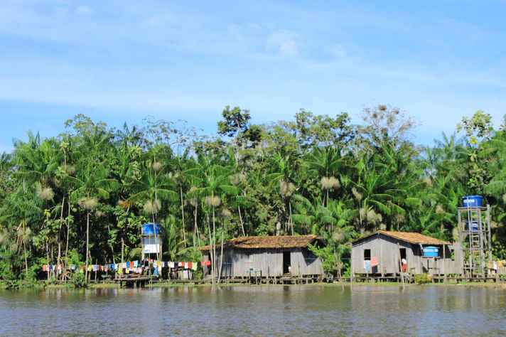 Falta de água potável, desmatamento e conflitos territoriais marcam o saneamento rural na região amazônica