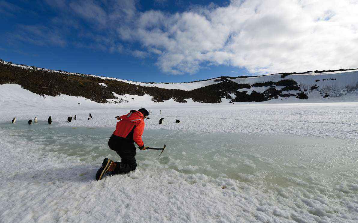 Pesquisador coleta amostras na Antártica: história de sobrevivência no continente é uma das que compõem o livro