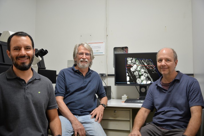 Da esquerda para a direita, professores do ICB: Vinicius Toledo Ribas, Gregory Kitten (centro) e Christopher Kushmerick