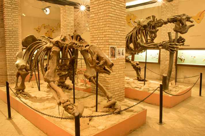 Museu de História Natural da UFMG