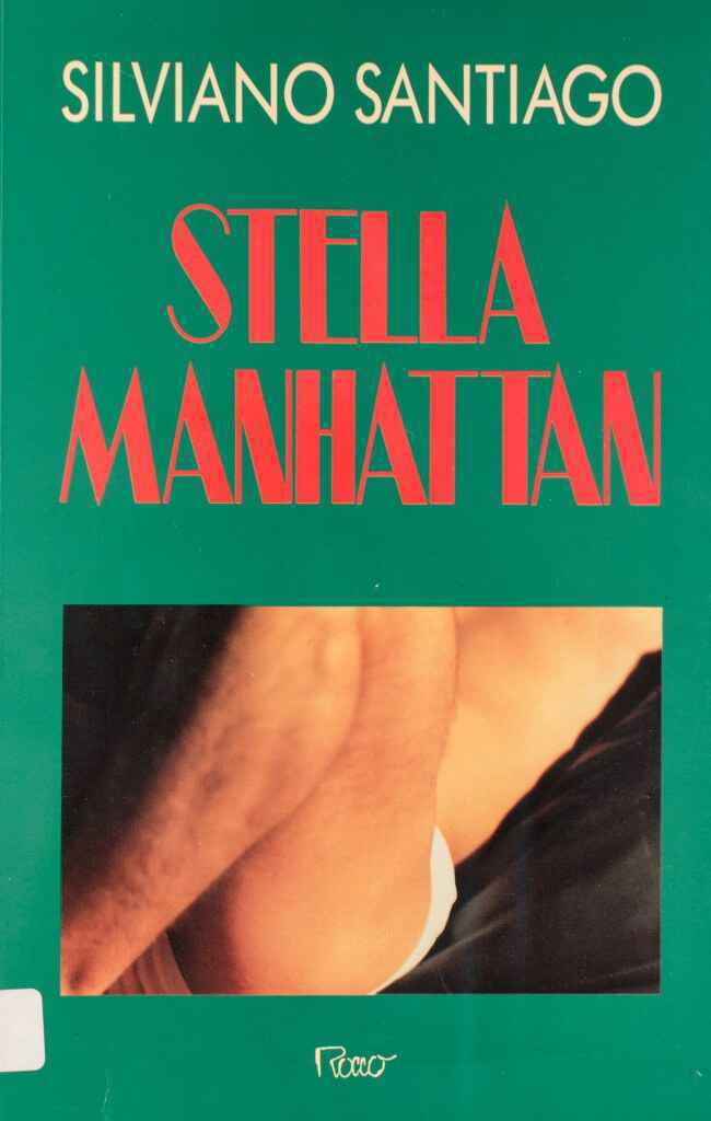 Stella Manhattan: no Dia Internacional do Orgulho LGBTQIA+, a UFMG Educativa celebra o 1º romance trans da literatura brasileira