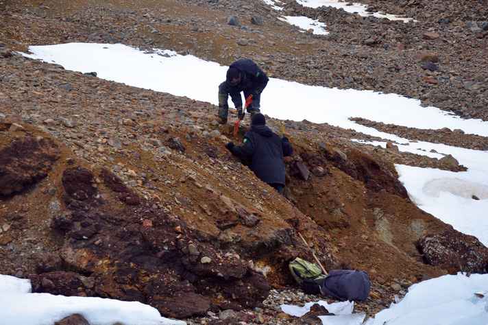 Análise dos solos foi feita com base em amostras coletadas em expedições à Antártica