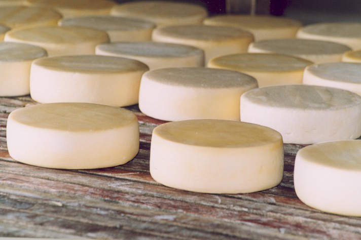 Produção de queijos da Serra Geral foi reconhecida como artesanal pelo IMA em 2018