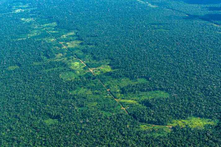 Região de floresta no município de Lábrea, no estado do Amazonas: desmatamento recrudesceu a partir de 2012