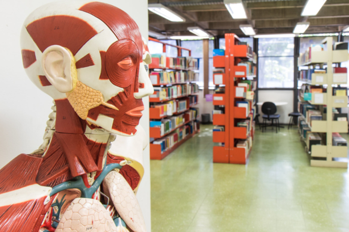 Foto da Biblioteca da Educação Física, Fisioterapia e Terapia Ocupacional, uma das 26 unidades do Sistema de Bibliotecas da UFMG.