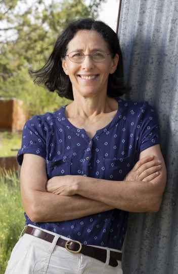 Melanie Mitchell: professora do Instituto Santa Fe, dos Estados Unidos, abre série de seminários com palestra sobre ciência de sistemas complexos