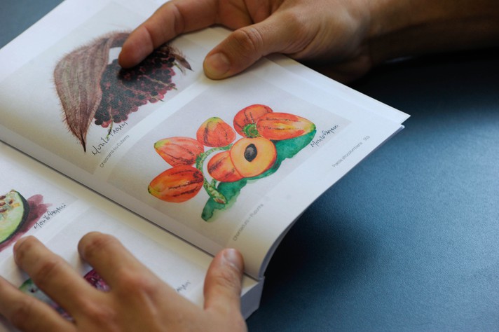 Linoleogravuras e aquarelas que ilustram a antologia ficam em exposição no Centro Cultural UFMG até novembro, em mostra gratuita