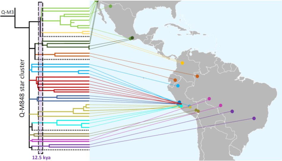 Mapeamento do cromossomo Y revela modelo de estruturação geográfica