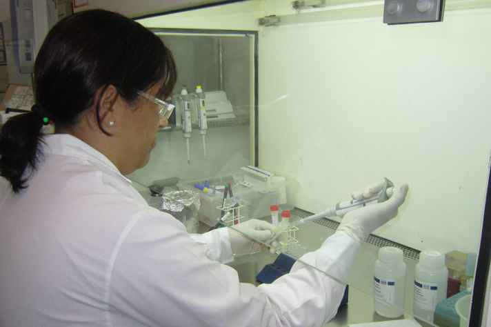 Análise feita no laboratório do Nupad identifica o vírus ainda na circulação sanguínea