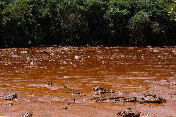 Área de manancial atingida pelos rejeitos da barragem de Brumadinho, em janeiro de 2019