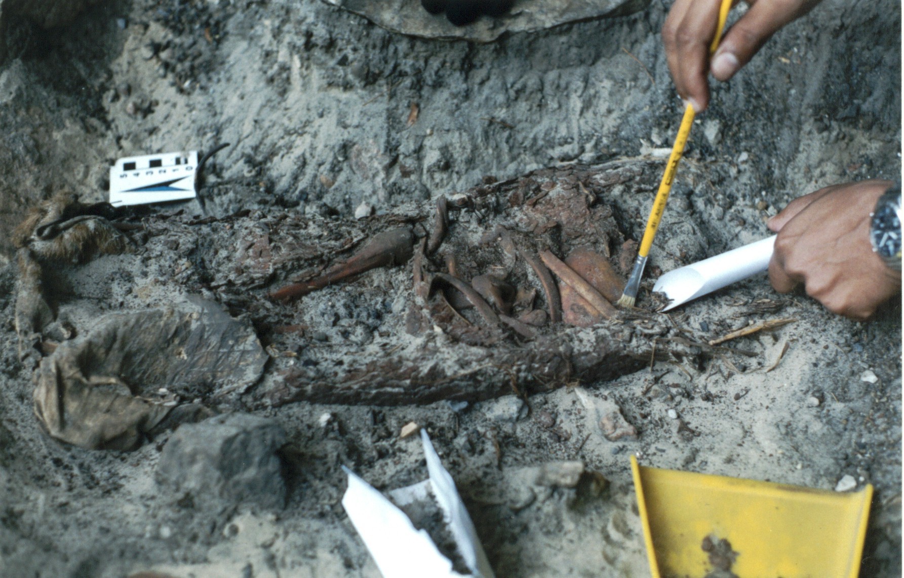 Estrutura funerária revelou detalhes desconhecidos da arqueologia brasileira