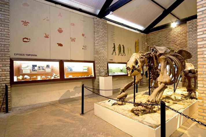 O Museu de História Natural e Jardim Botânico é um dos espaços da UFMG que participam da 20ª Semana de Museus