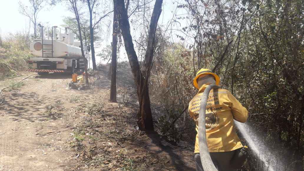 Brigadista combate o fogo na Estação Ecológica: calor e clima seco