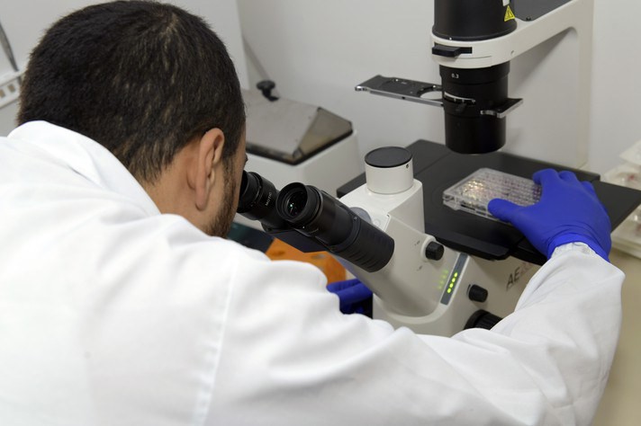 Procedimento de pesquisa em laboratório da UFMG