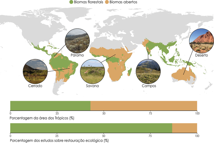 Ilustração revela desequilíbrio entre ocupação dos biomas abertos e estudos sobre restauração