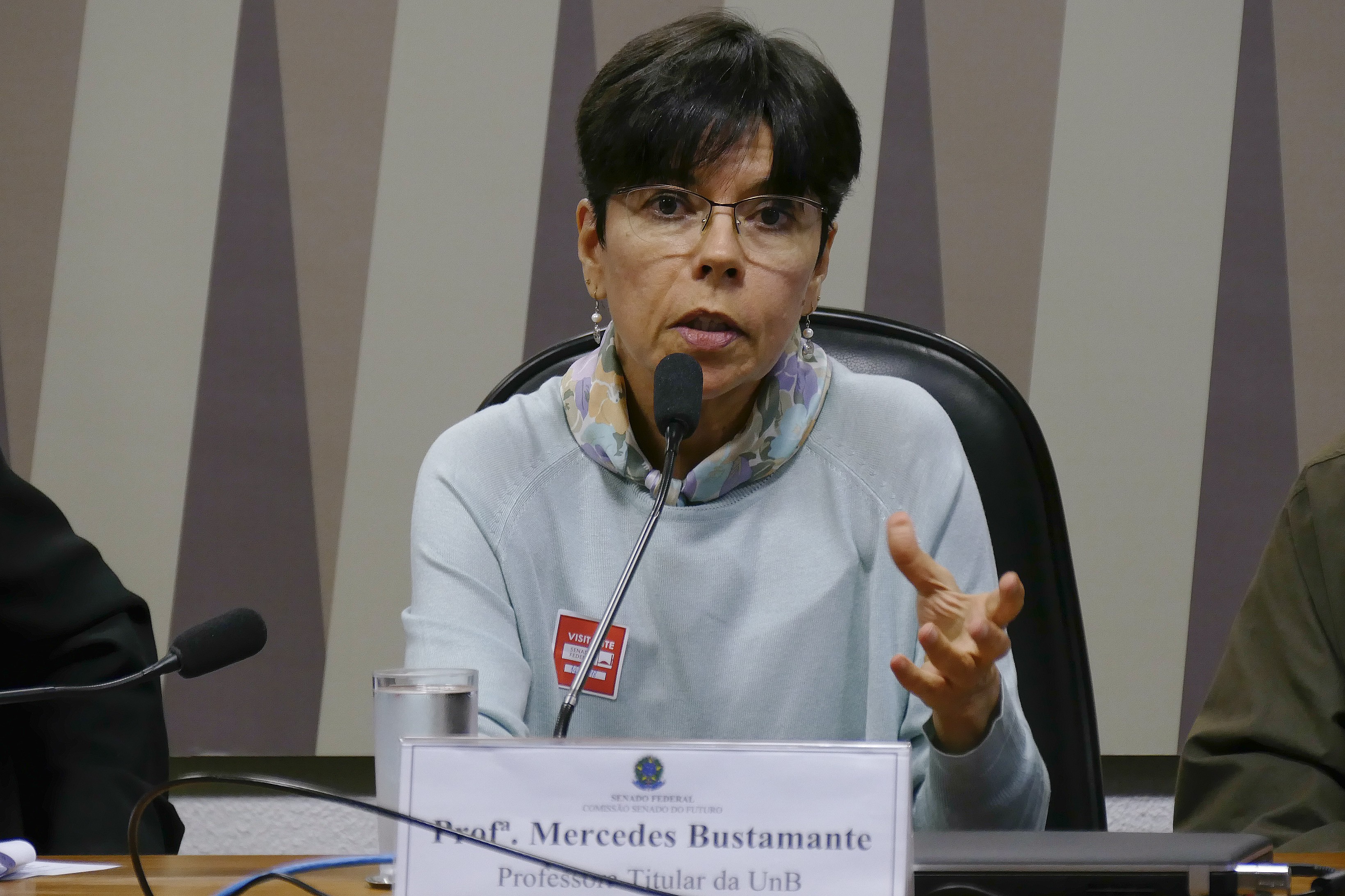 Mercedes Bustamante, presidente da Capes