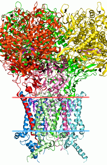 Estrutura proteica 3D, elemento comum nas análises de bioinformática