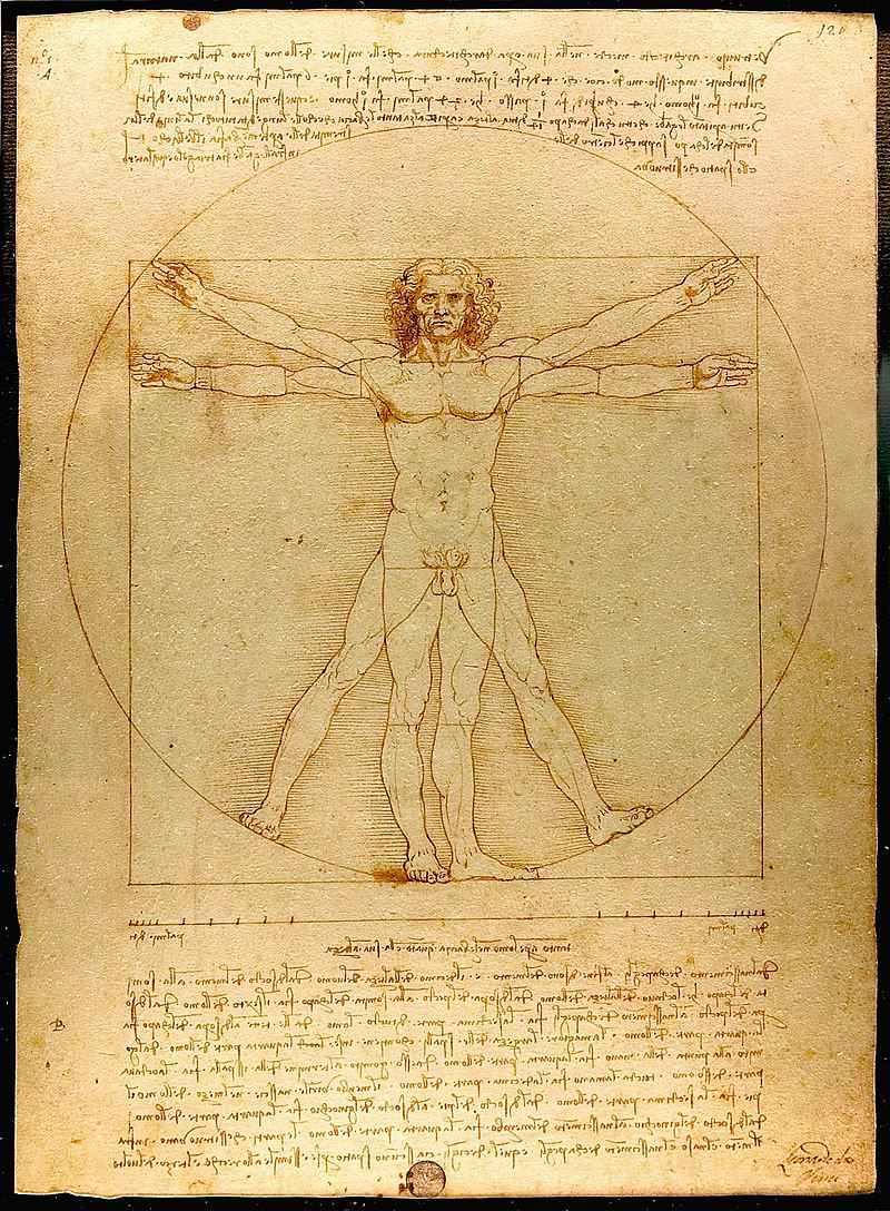 Produzido em 1490 por Leonardo da Vinci o desenho 'Homem Vitruviano' é considerado frequentemente como um símbolo da simetria básica do corpo humano