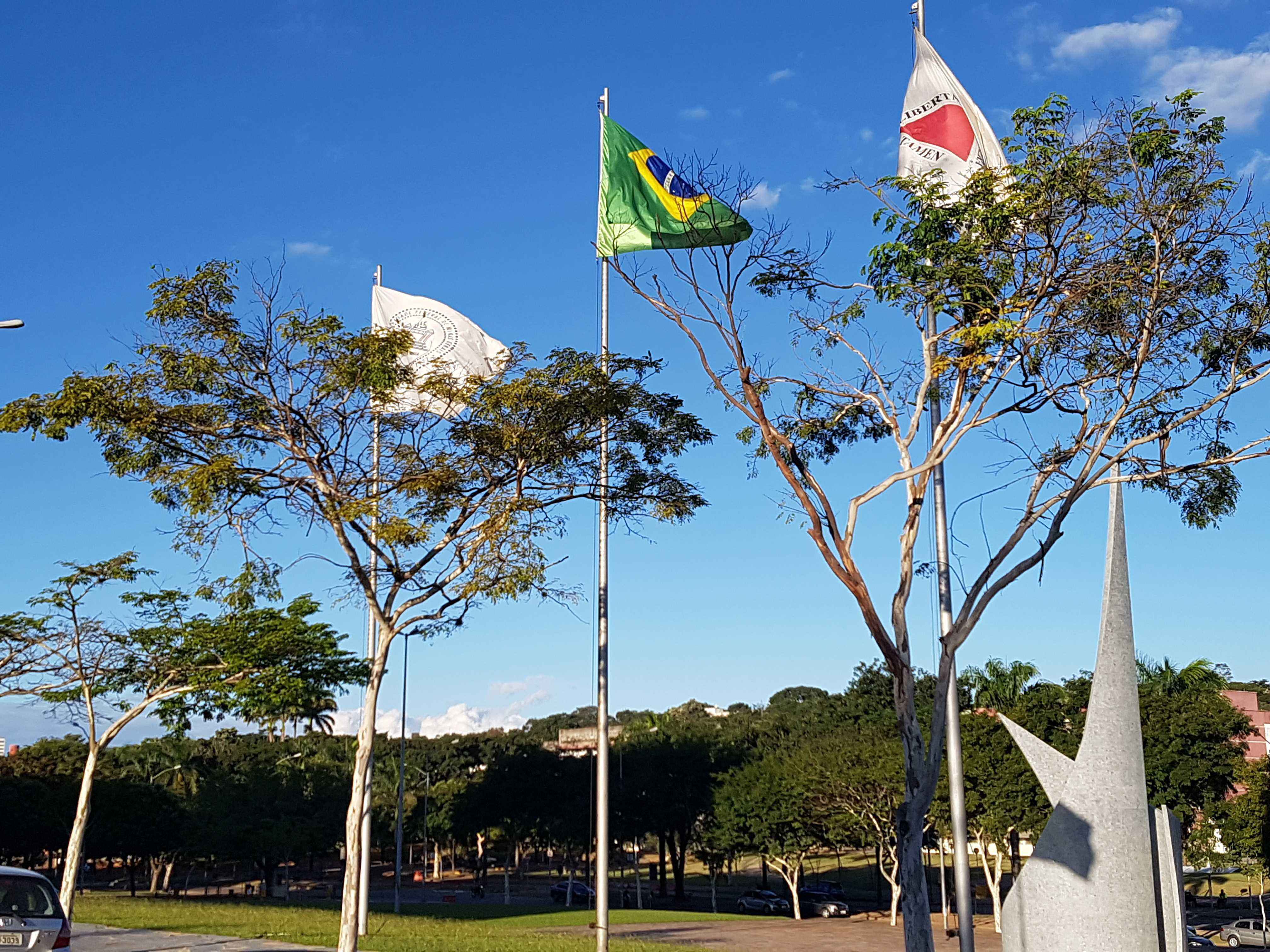 Bandeiras da UFMG, do Brasil e de Minas Gerais hasteadas no gramado da Reitoria