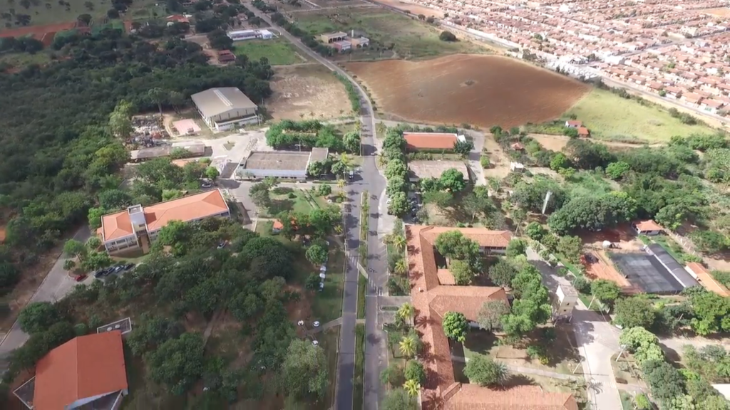 Descrição Imagem