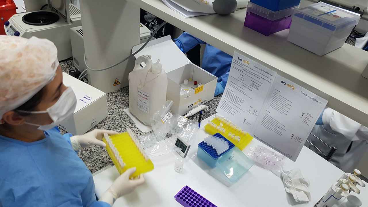 Pesquisadora no CT-Vacinas, um dos sete laboratórios que integram a rede