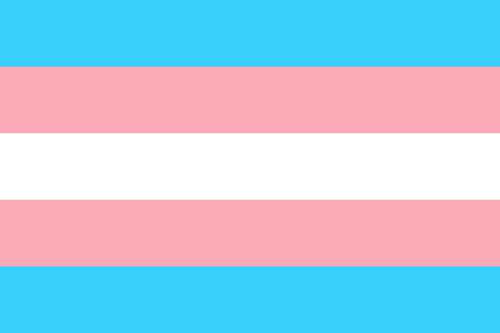 Bandeira da visibilidade trans