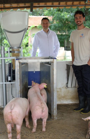 O professor Bruno Silva e o doutorando Pedro Gomes utilizam o equipamento para monitorar a dieta dos suínos