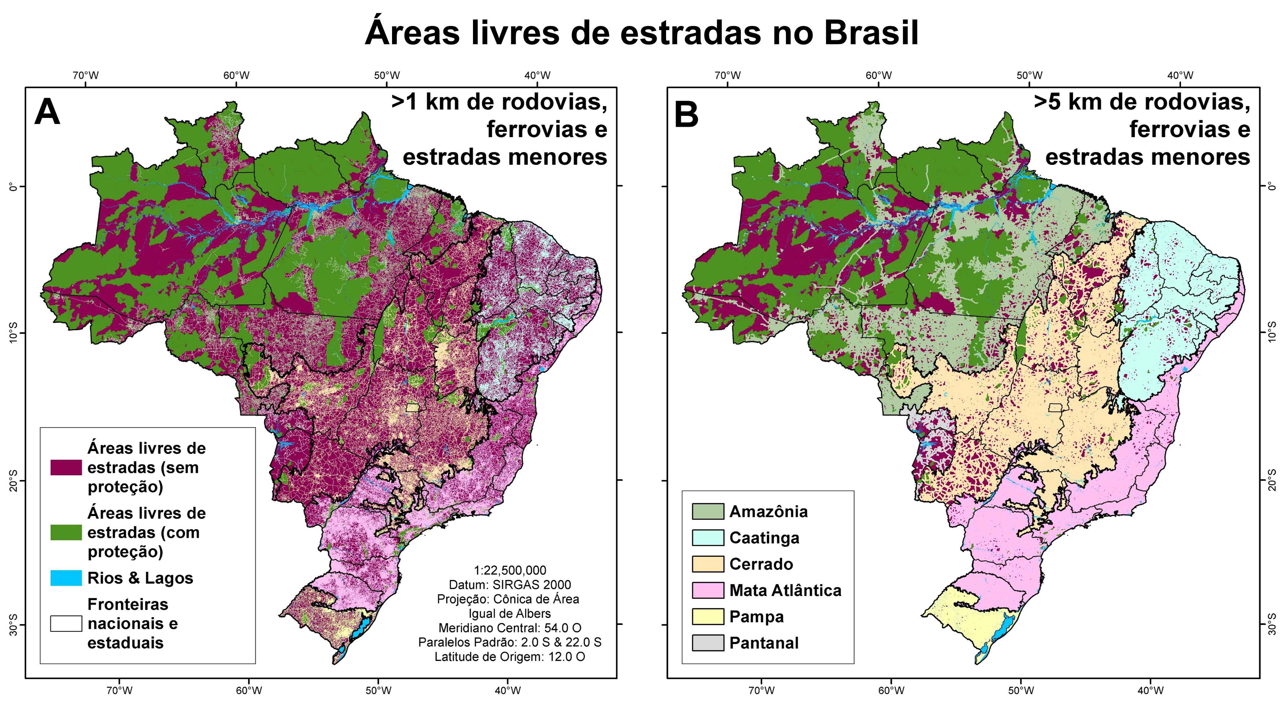 Áreas livres de estradas podem ser foco estratégico para conservação ambiental no Brasil