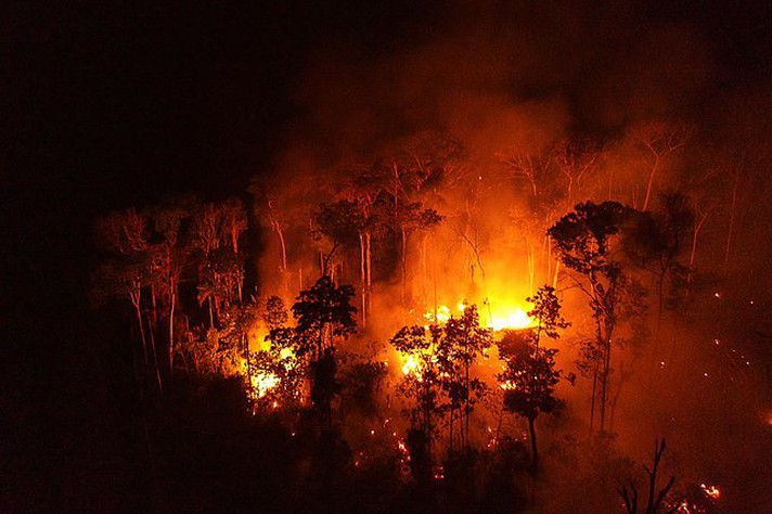 As queimadas ilegais estão entre as atividades que degradam o bioma Amazônia