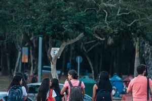 UFMG - Universidade Federal de Minas Gerais - Consulta sobre Reitorado para  gestão 2022-2026 será nesta quinta, on-line