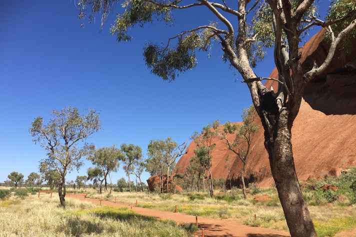 Urulu, região central da Austrália está entre os biomas abertos pouco estudado e divulgado