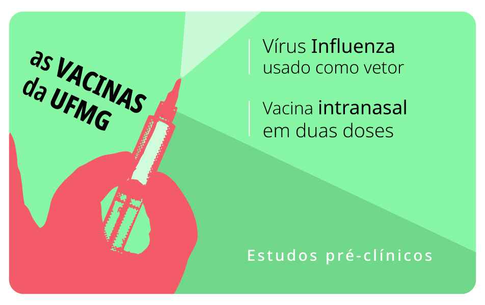 <p>Imunizante desenvolvido no CT-Vacinas tem o vírus da gripe como vetor</p>