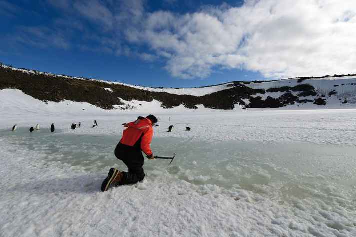 Pesquisador da UFMG em trabalho de escavação em solo antártico