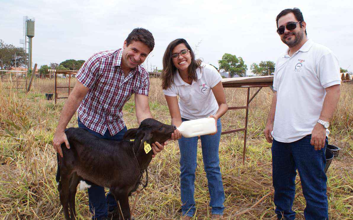 Na fazenda do ICA, em Montes Claros, com os professores Eduardo Duarte (à esquerda) e Mário Mourthé, a aluna Iara Reis, do curso de Zootecnia, faz o aleitamento artificial de bezerro da raça Girolando