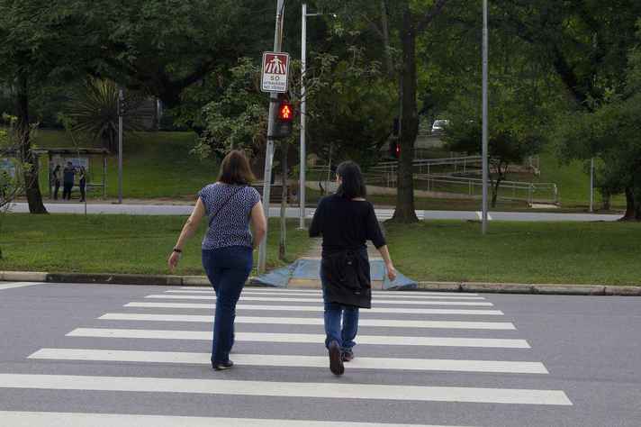 Atravessar uma rua sem ser atropelado por um veículo é uma capacidade de controle visual da informação, tema do estudo da UFMG